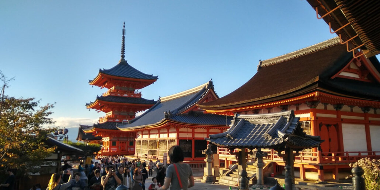 13 Best Shrines & Temples To Visit Across Japan