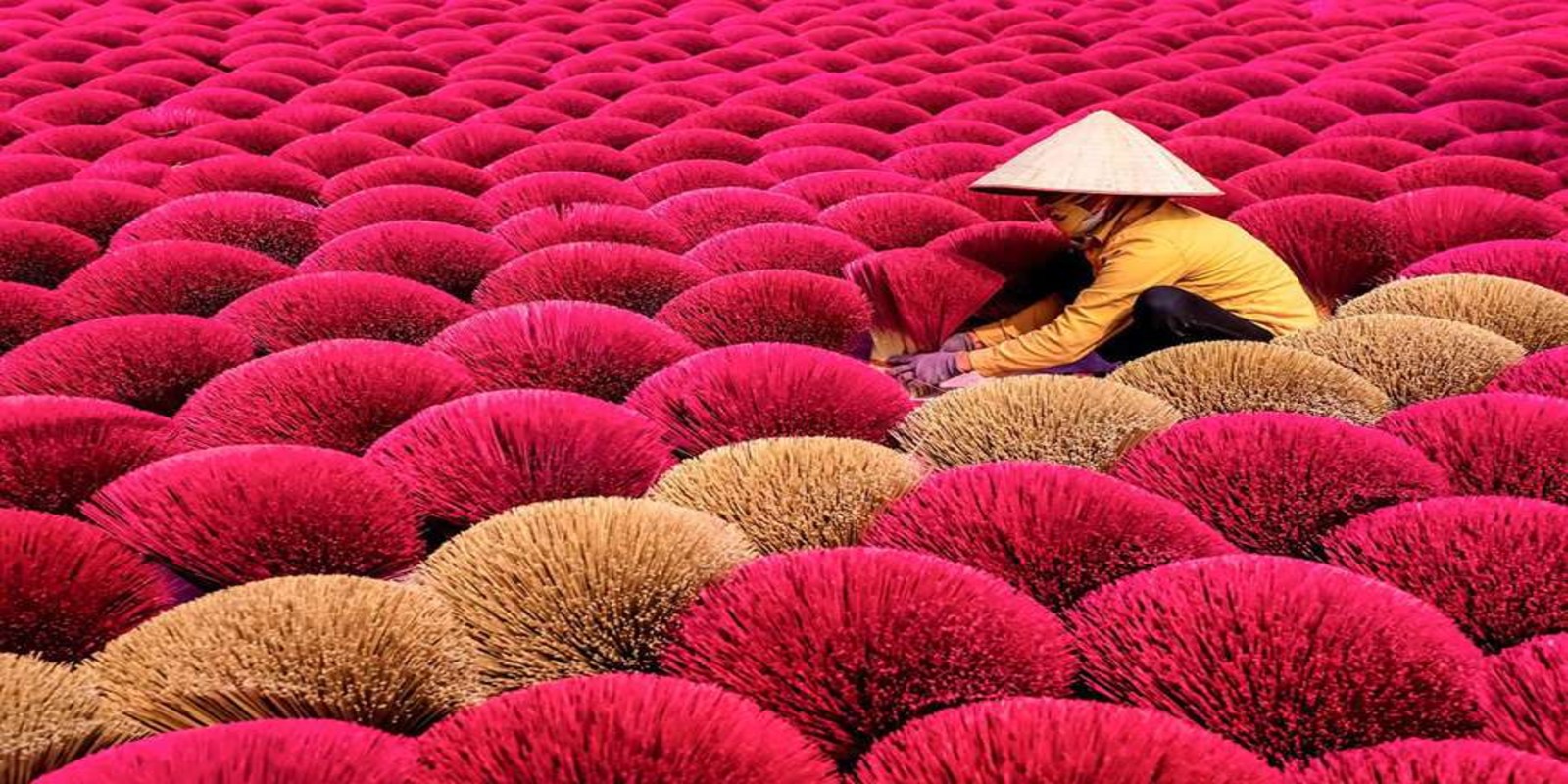 How to Visit Quang Phu Cau: Vietnam’s Colorful Incense Village