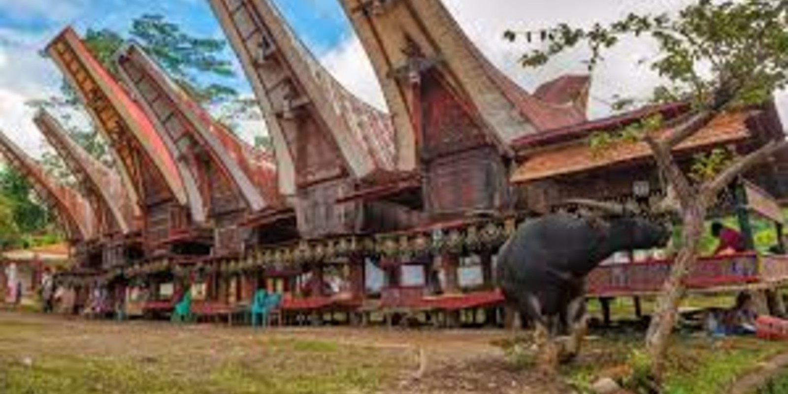 Tana Toraja Indonesia – Travel Guide & Best Things To Do