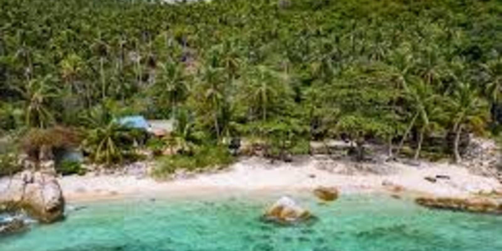 Koh Tao Travel Guide: Best Beaches, Viewpoints & Things To Do in Thailand